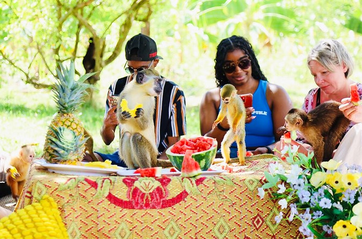 Punta Cana Monkey House VIP Educational Experience