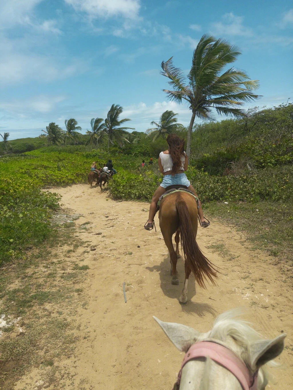 Horseback Riding & Macao Beach Experience in Punta Cana