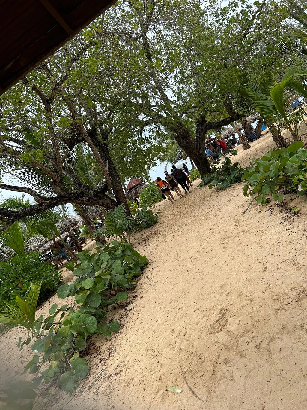 Horseback Riding & Macao Beach Experience in Punta Cana