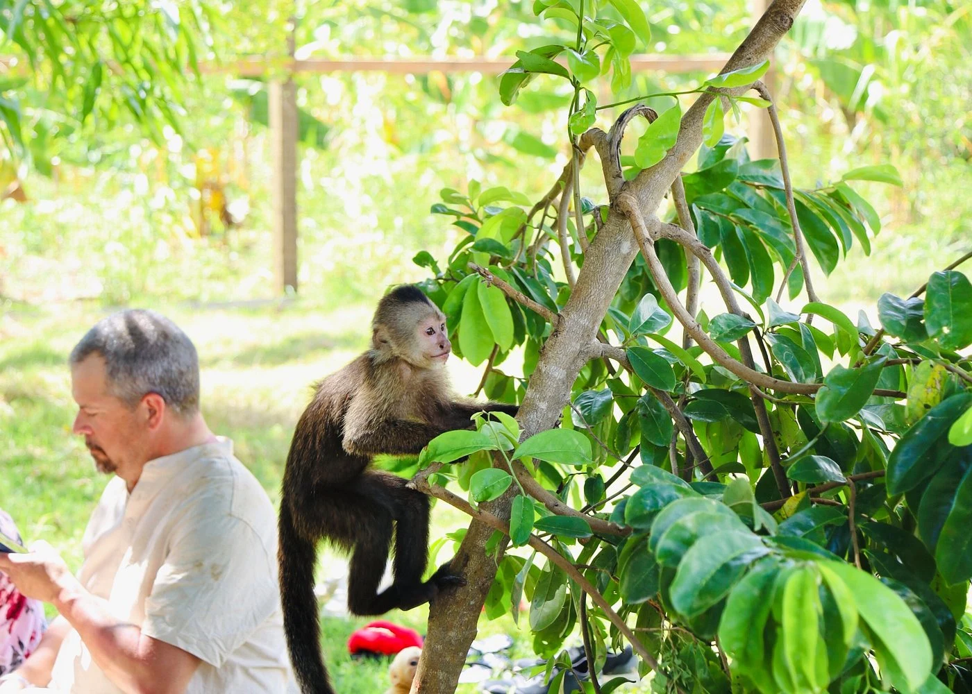 Punta Cana Monkey House VIP Educational Experience