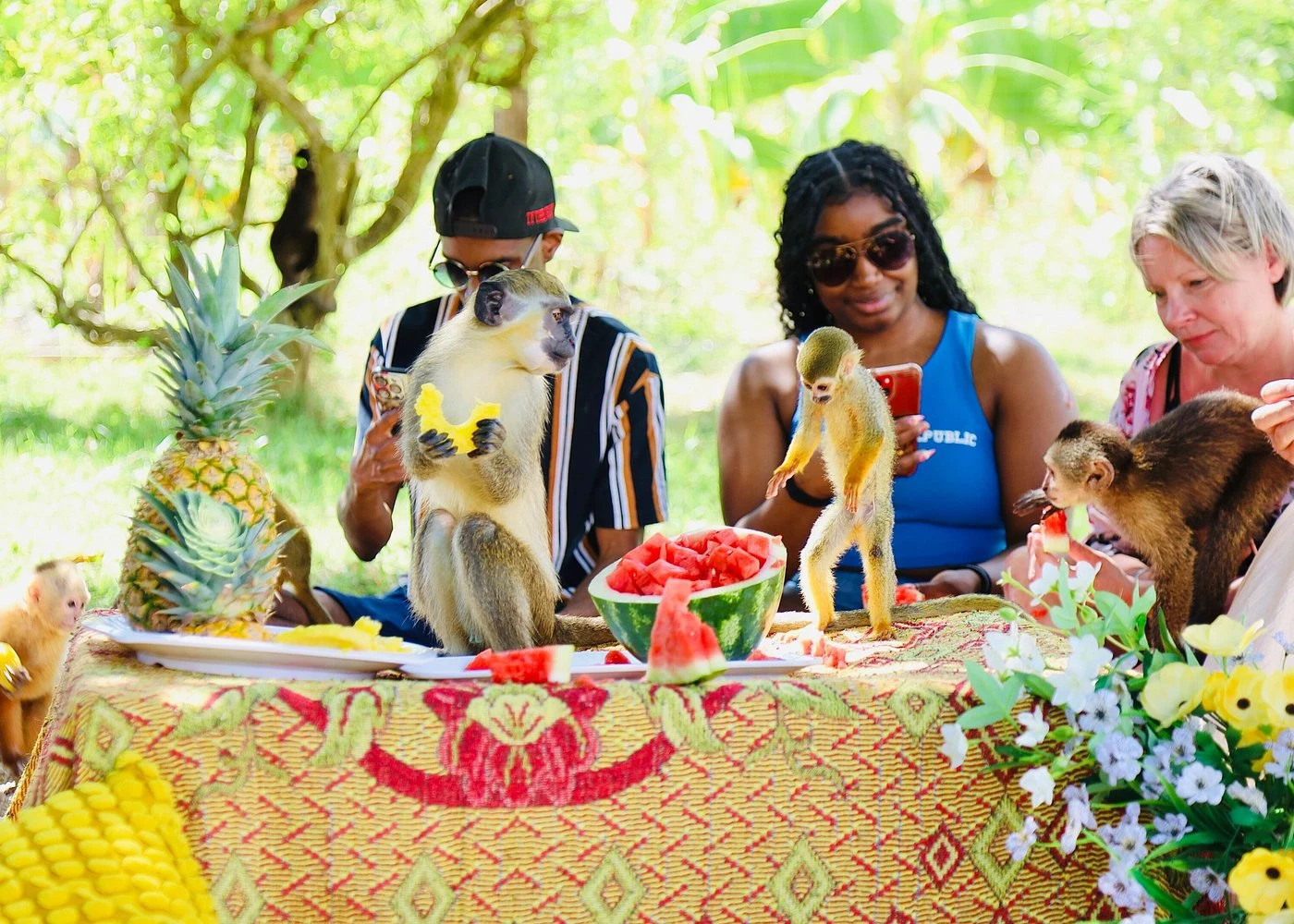 Punta Cana Monkey House VIP Educational Experience