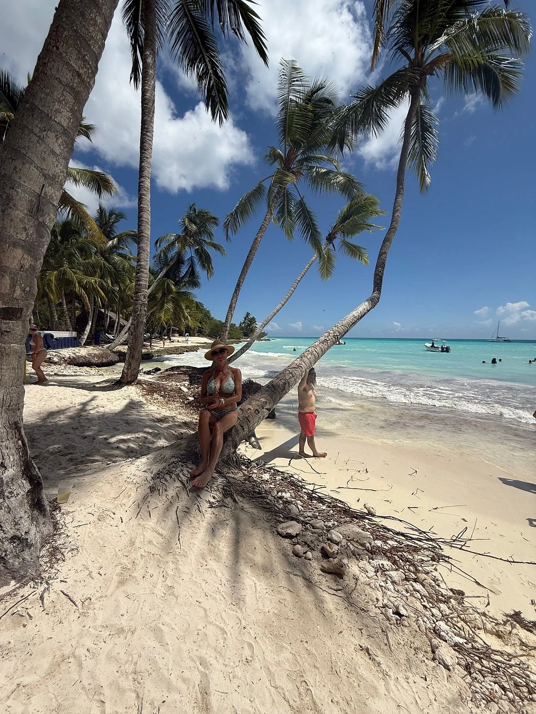 Saona Island Day Trip From Punta Cana with Lunch and Open Bar